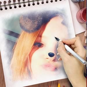 Meet your Posher, Allee